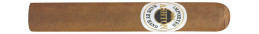 Buy Ashton Magnum Box of 50 at Cigars Express