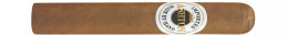 Buy Ashton Magnum - Authentic Cigars for Sale