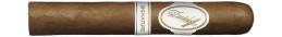 Buy Davidoff Signature 6000 - Cigars Express