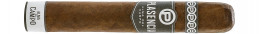 Buy Plasencia Alma del Campo Sendero Toro Gordo - Luxury Cigars Delivered Worldwide