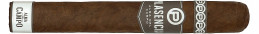 Buy Plasencia Alma del Campo Travesia Toro Extra - Premium Cigars Online