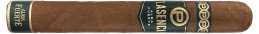 Buy Plasencia Alma Fuerte Eduardo I Toro - Premium Cigars Online