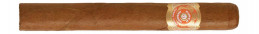Buy Punch Punch - Premium Cigars Online