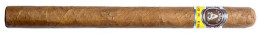 Buy Aladino JRE Tobacco Elegante at Cigars Express
