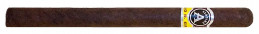 Buy Aladino JRE Tobacco Maduro Elegante - Premium Cigars Online