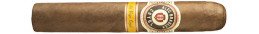 Buy Alec Bradley Coyol Gordo at Cigars Express
