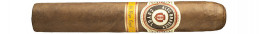 Buy Alec Bradley Coyol Gordo - Authentic Cigars for Sale